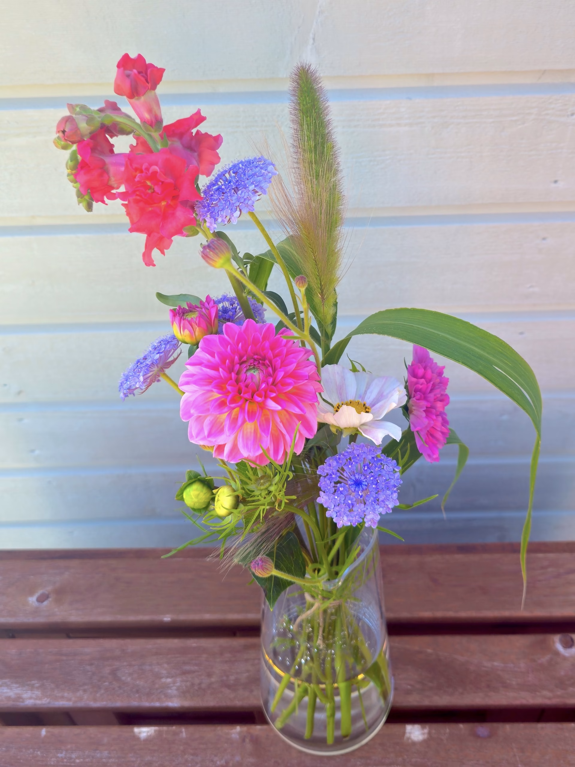 Dahlia, Lejongap, Scabiosa / Syrenblåa blommor, Cosmos / Vit blomma, Präriegräs / Pennisetum