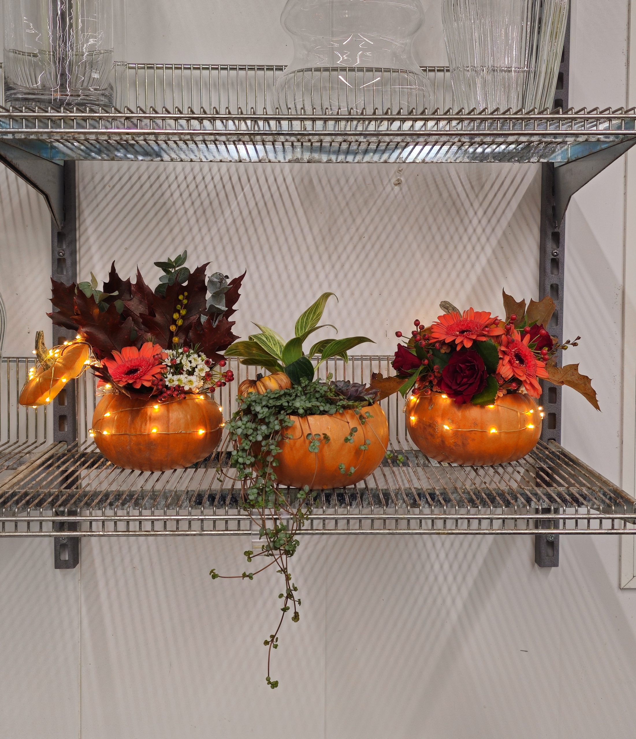 Första praktikperiod på Blomsterlandet