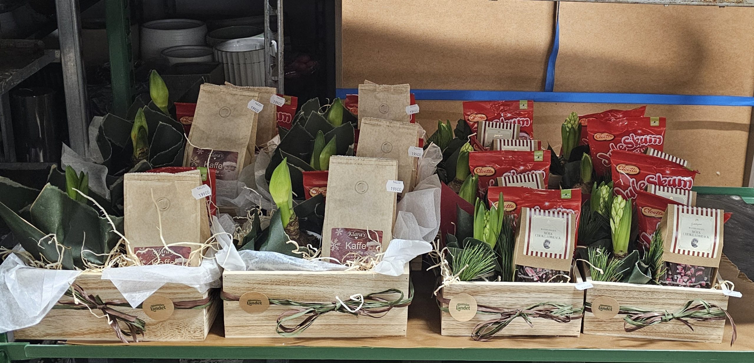 Andra praktikperiod på Blomsterlandet